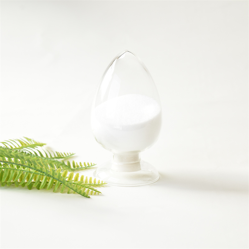 Citicoline ሶዲየም CAS 33818-15-4